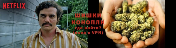 шишки Костерёво