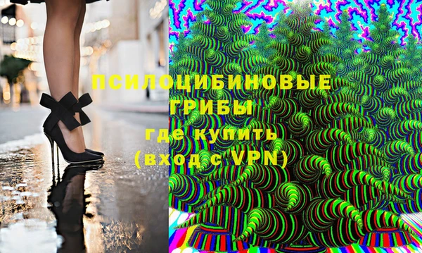 гашик Алзамай