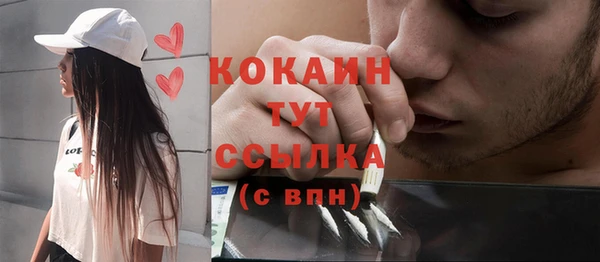 шишки Арсеньев